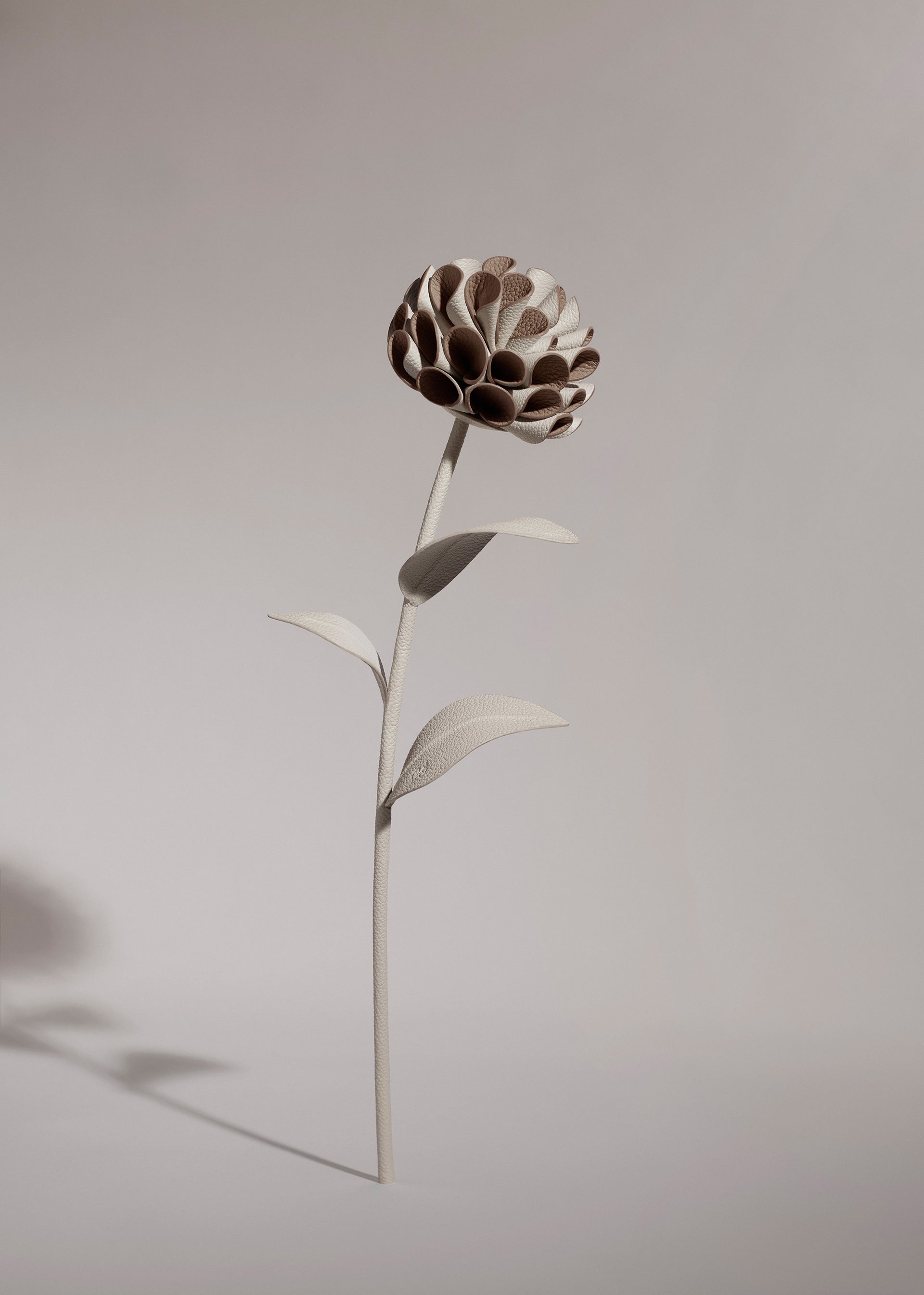 Fleur Dalium - Duo Craie