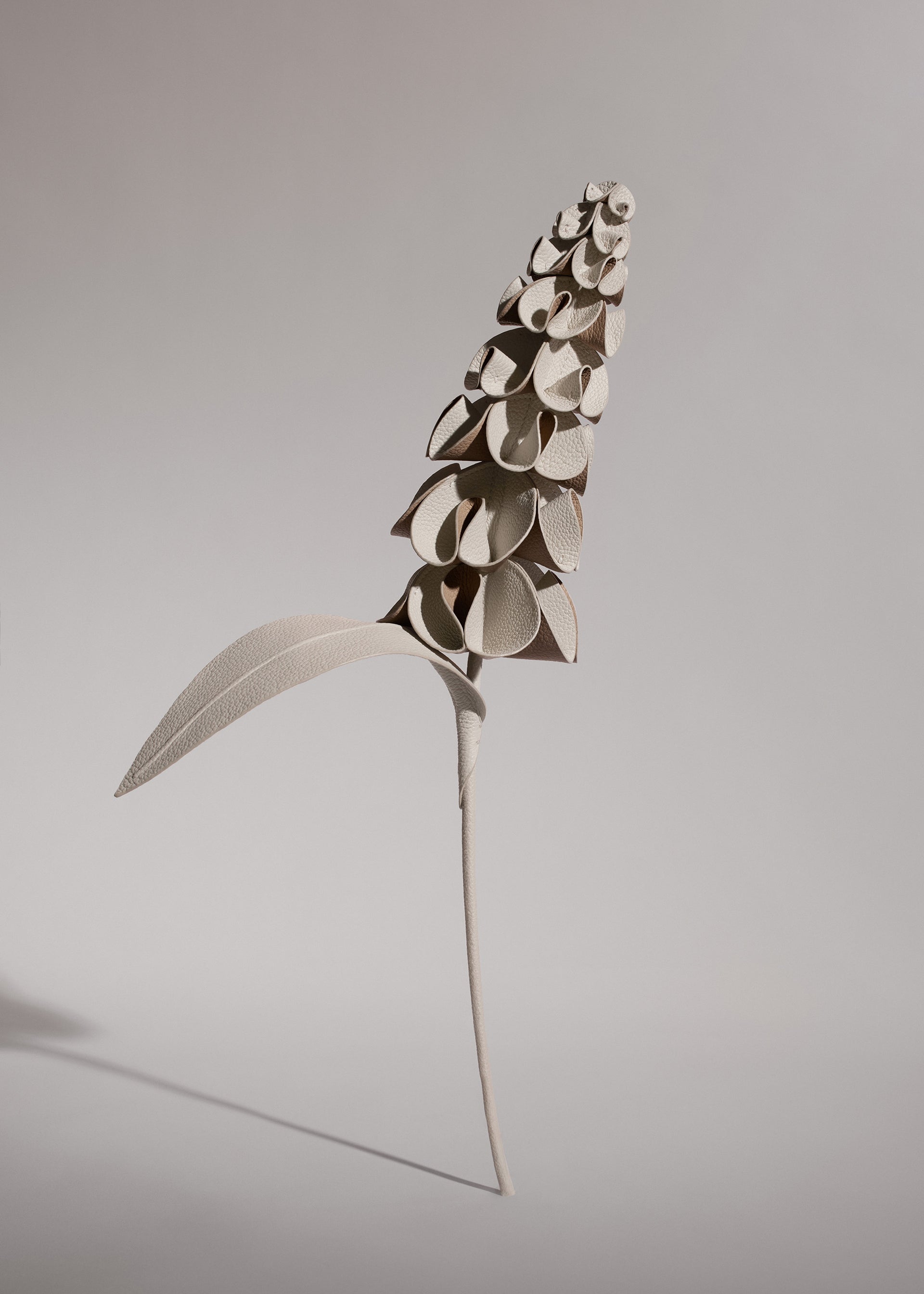 Fleur Orki - Duo Craie