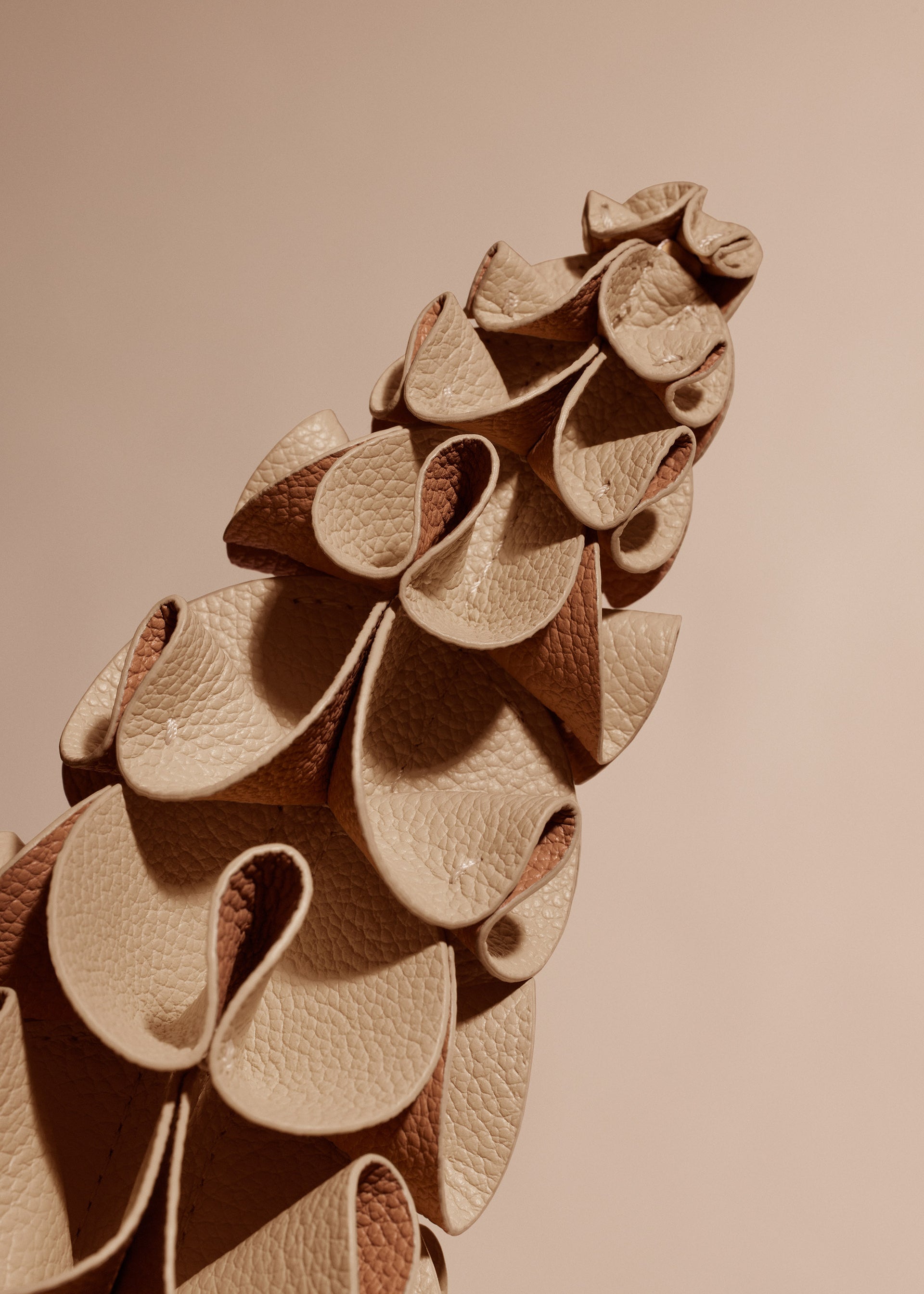 Fleur Orki - Duo Beige