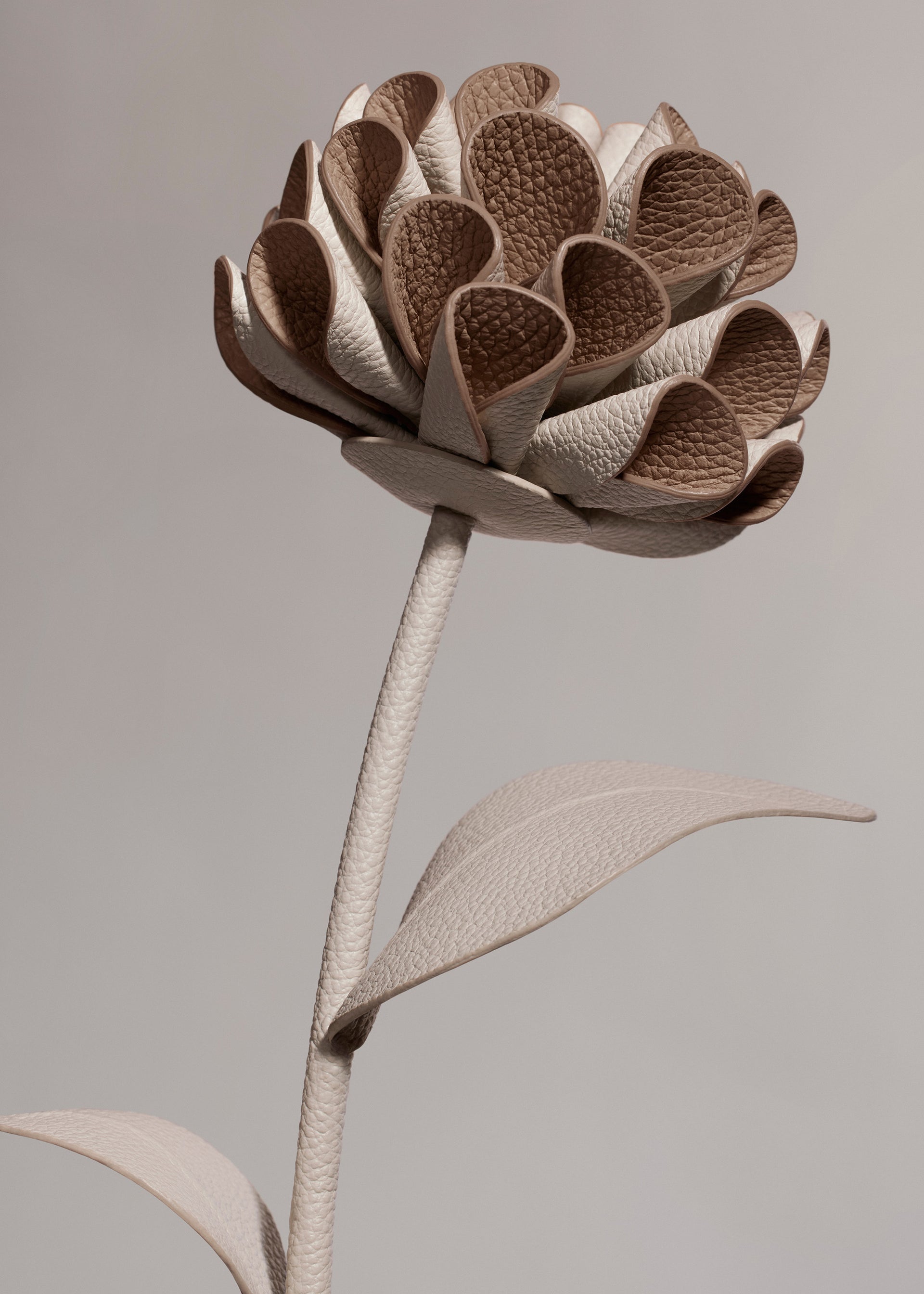 Fleur Dalium - Duo Craie