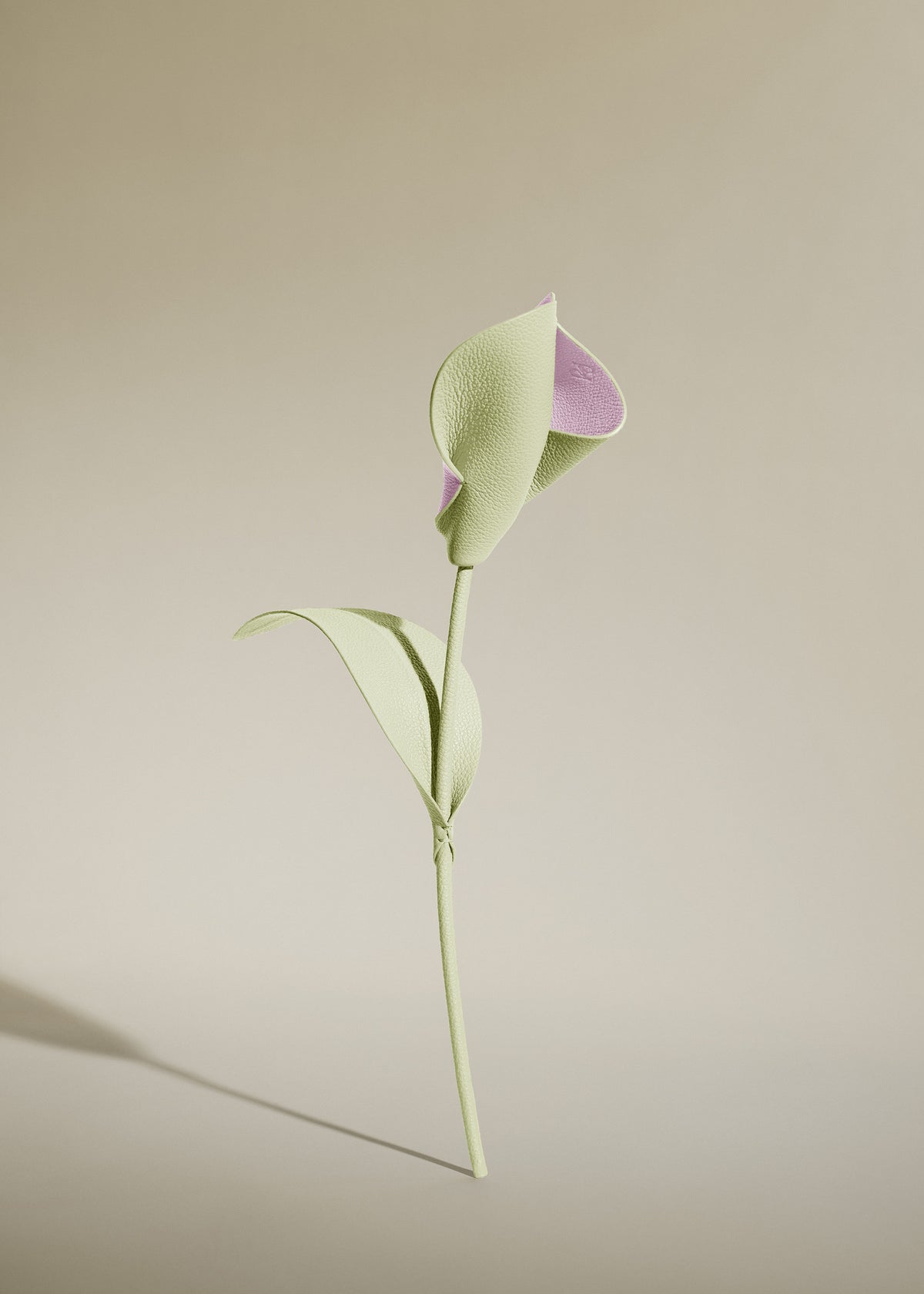 Fleur Pili - Aloe
