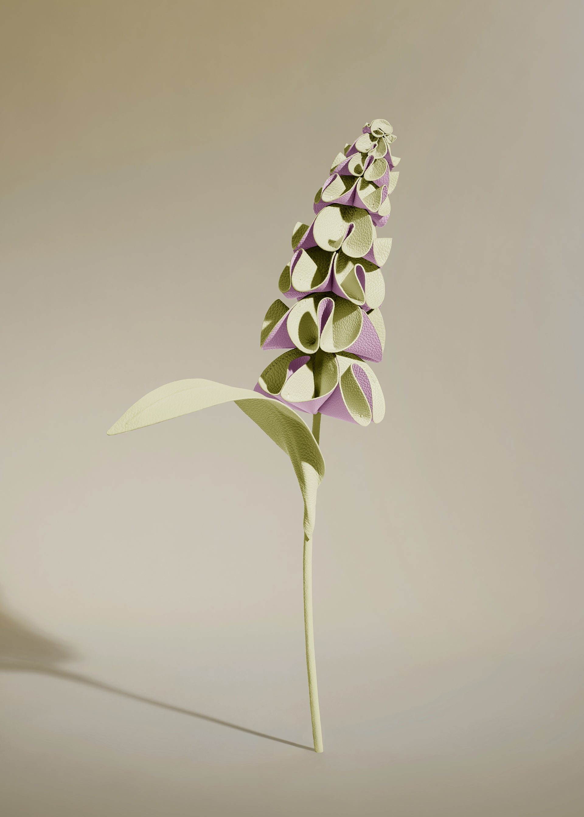 Fleur Orki - Aloe