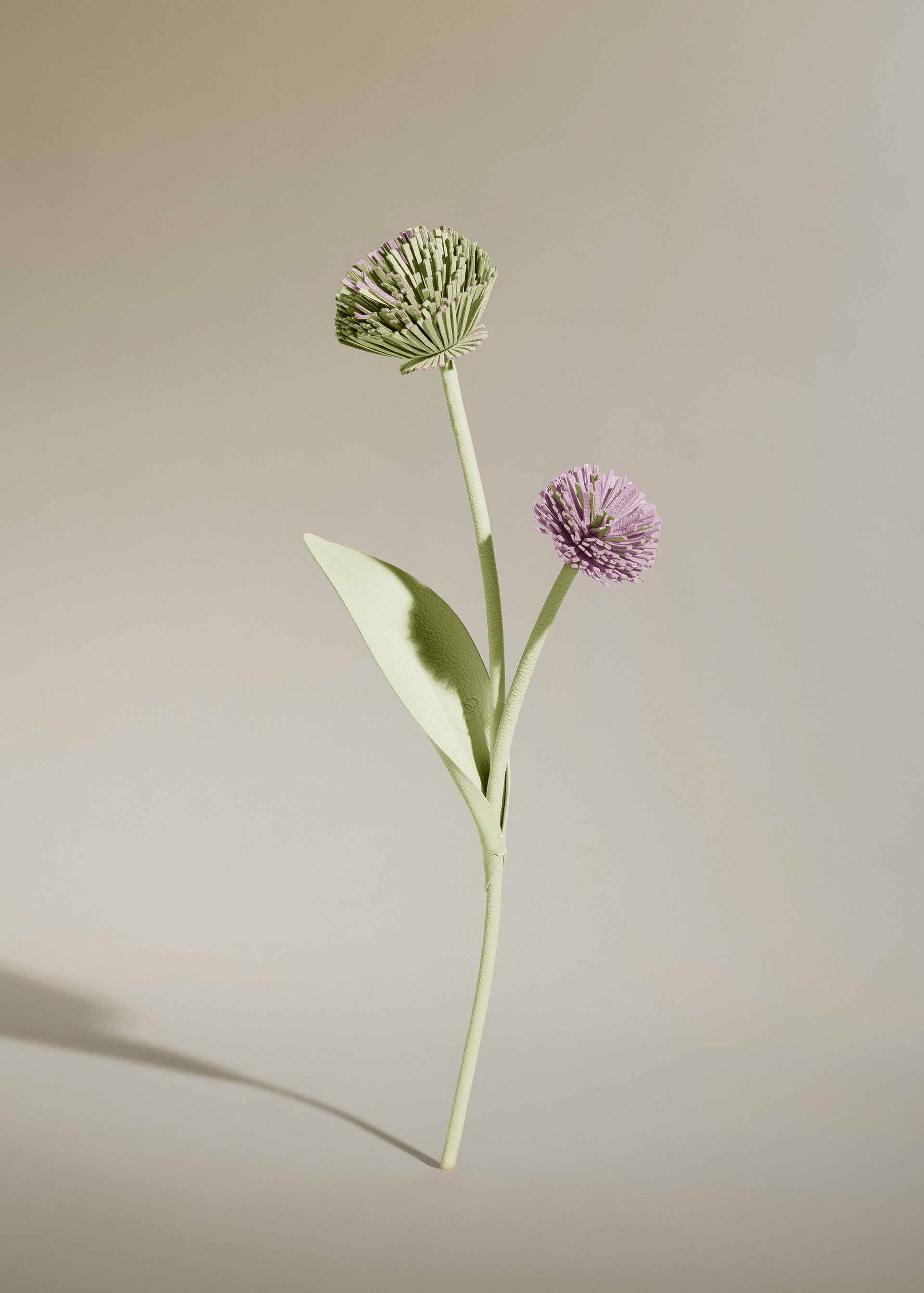 Fleur Tul - Aloe