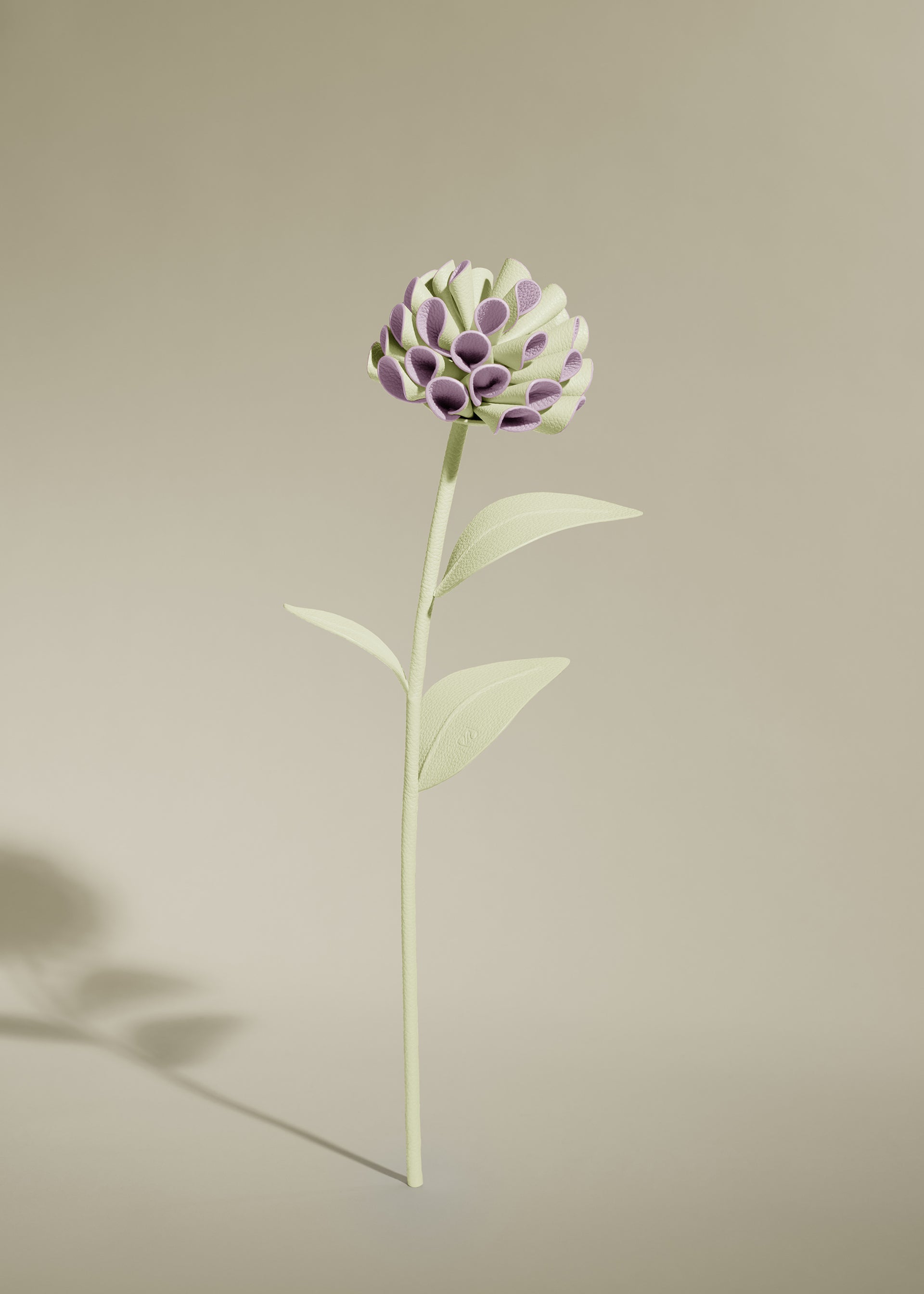 Fleur Dalium - Aloe