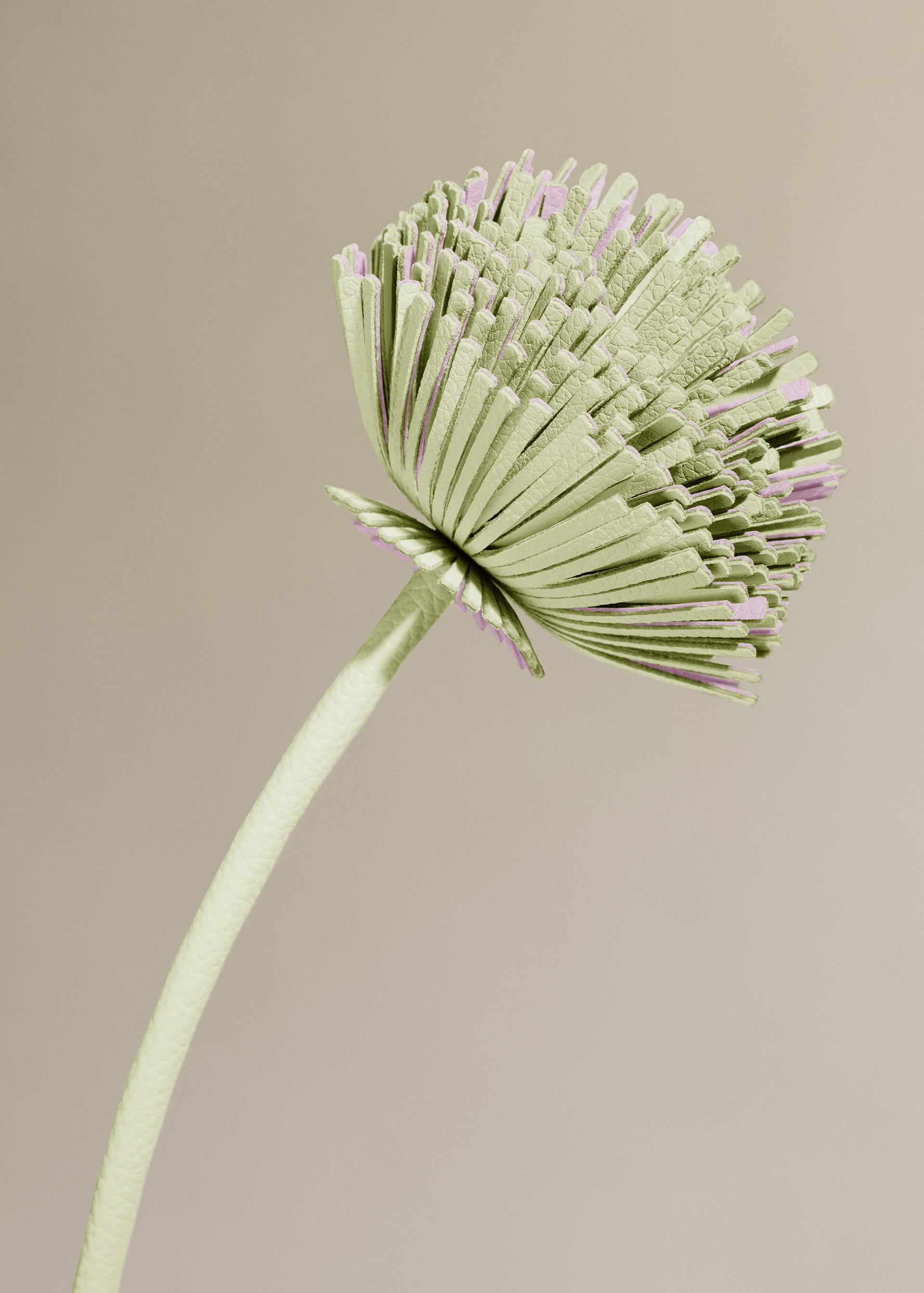 Fleur Tul - Aloe