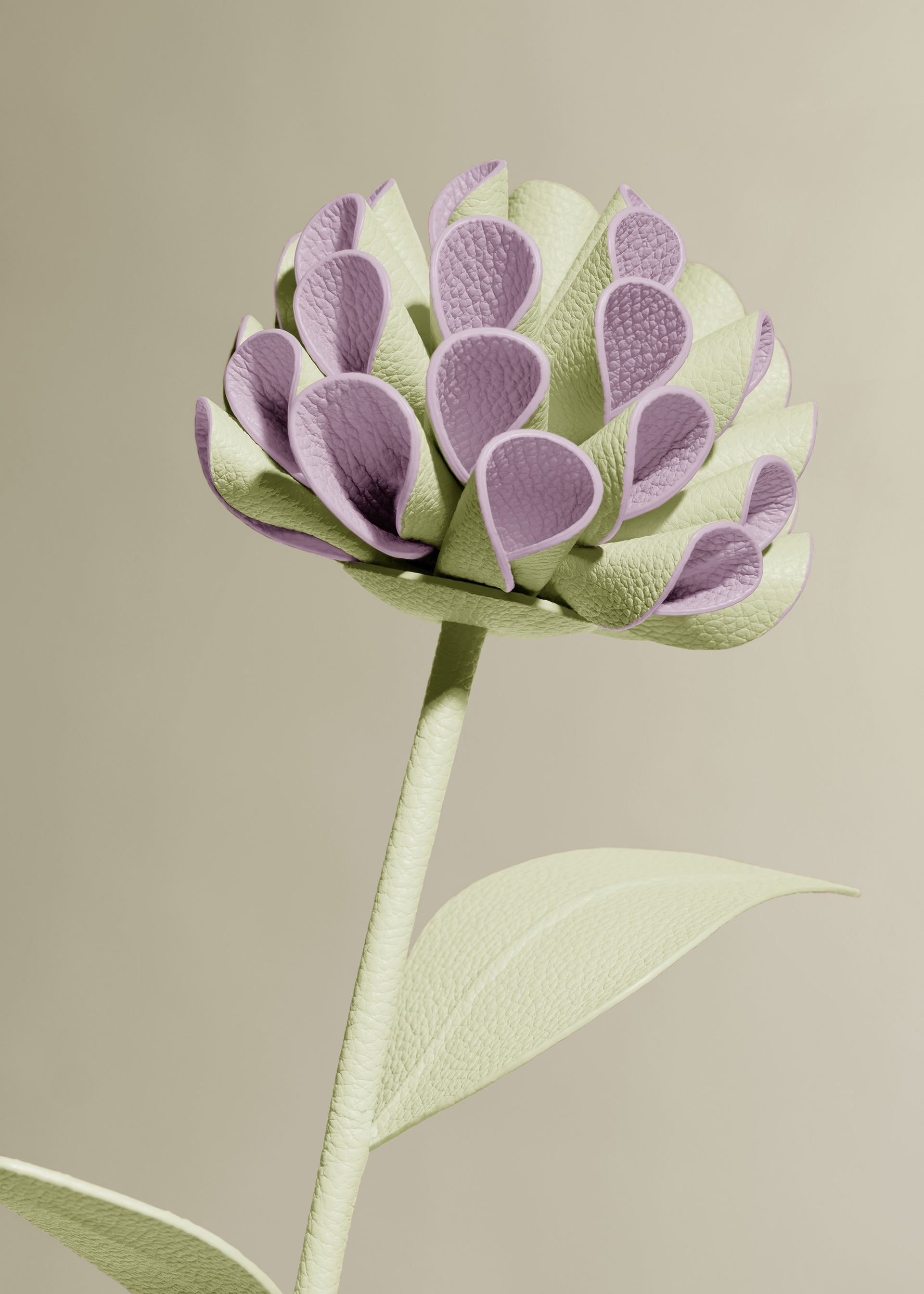 Fleur Dalium - Aloe