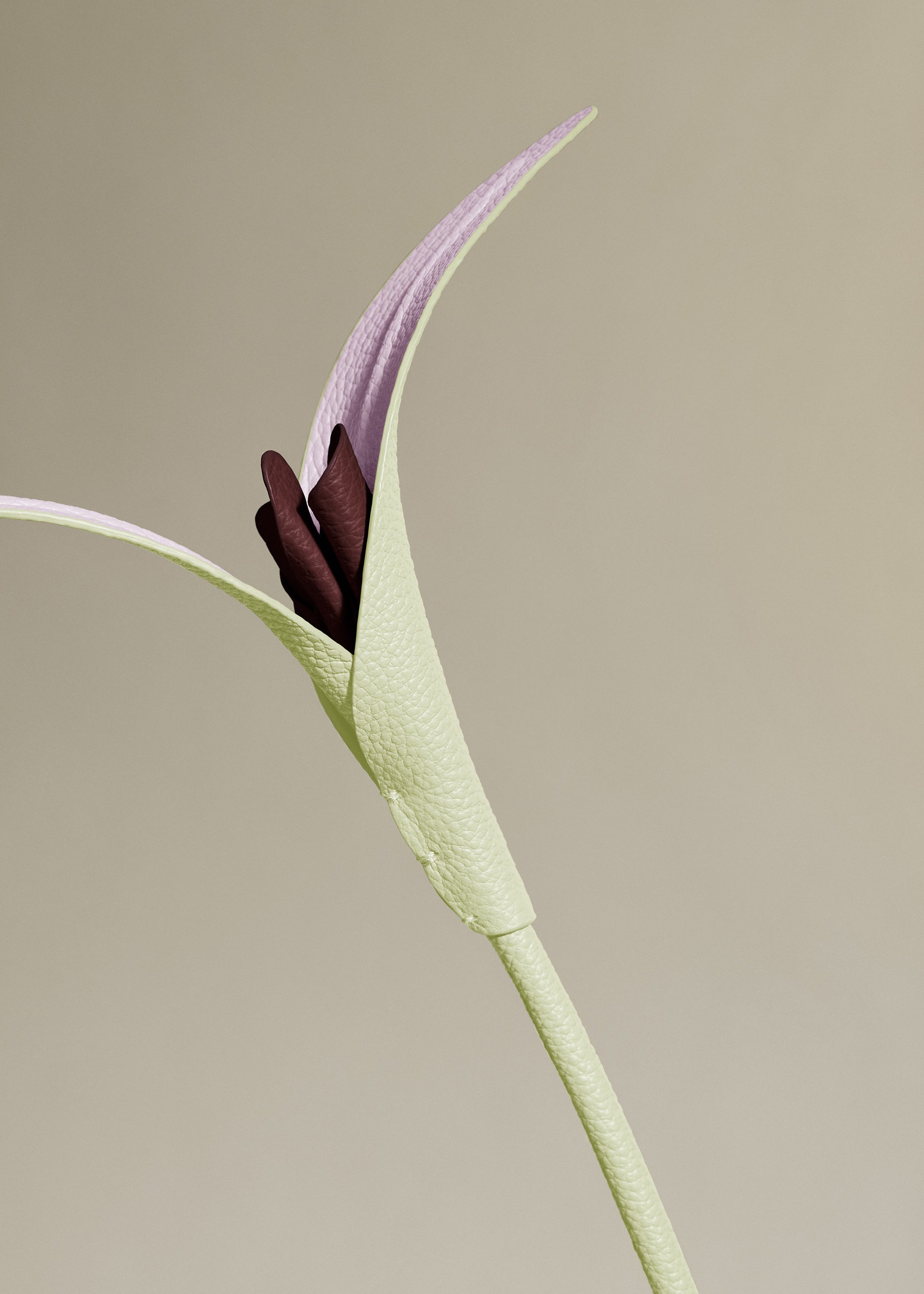 Fleur Touka - Aloe
