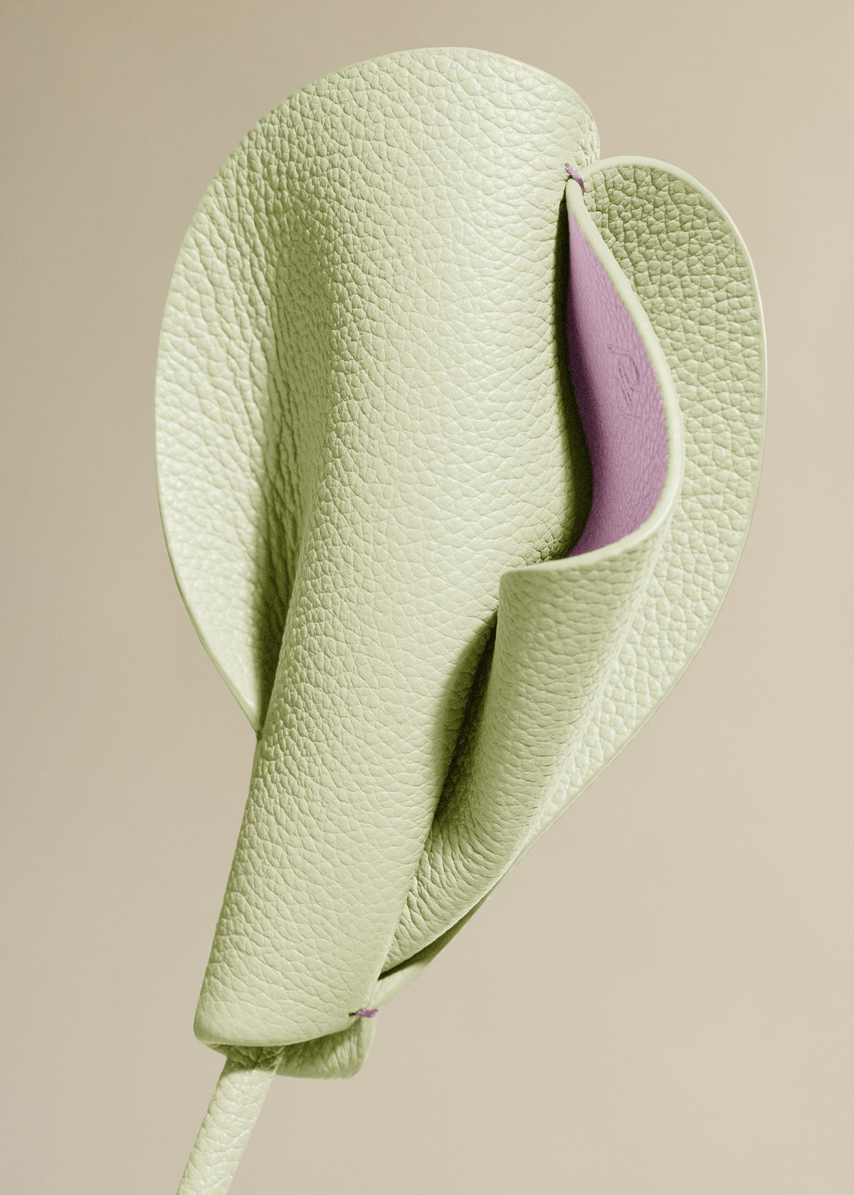 Fleur Pili - Aloe