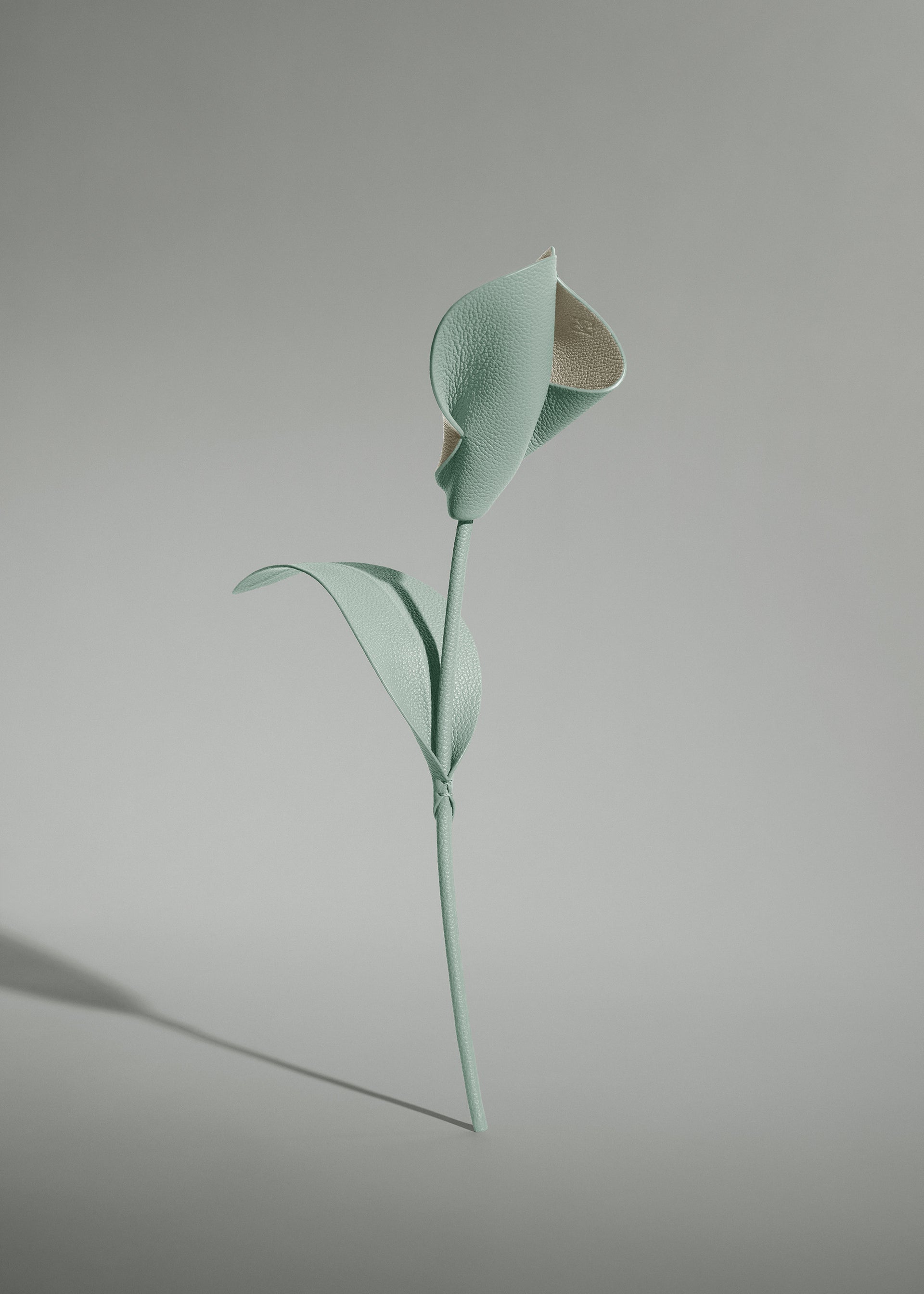 Fleur Pili - Amande Fraîche