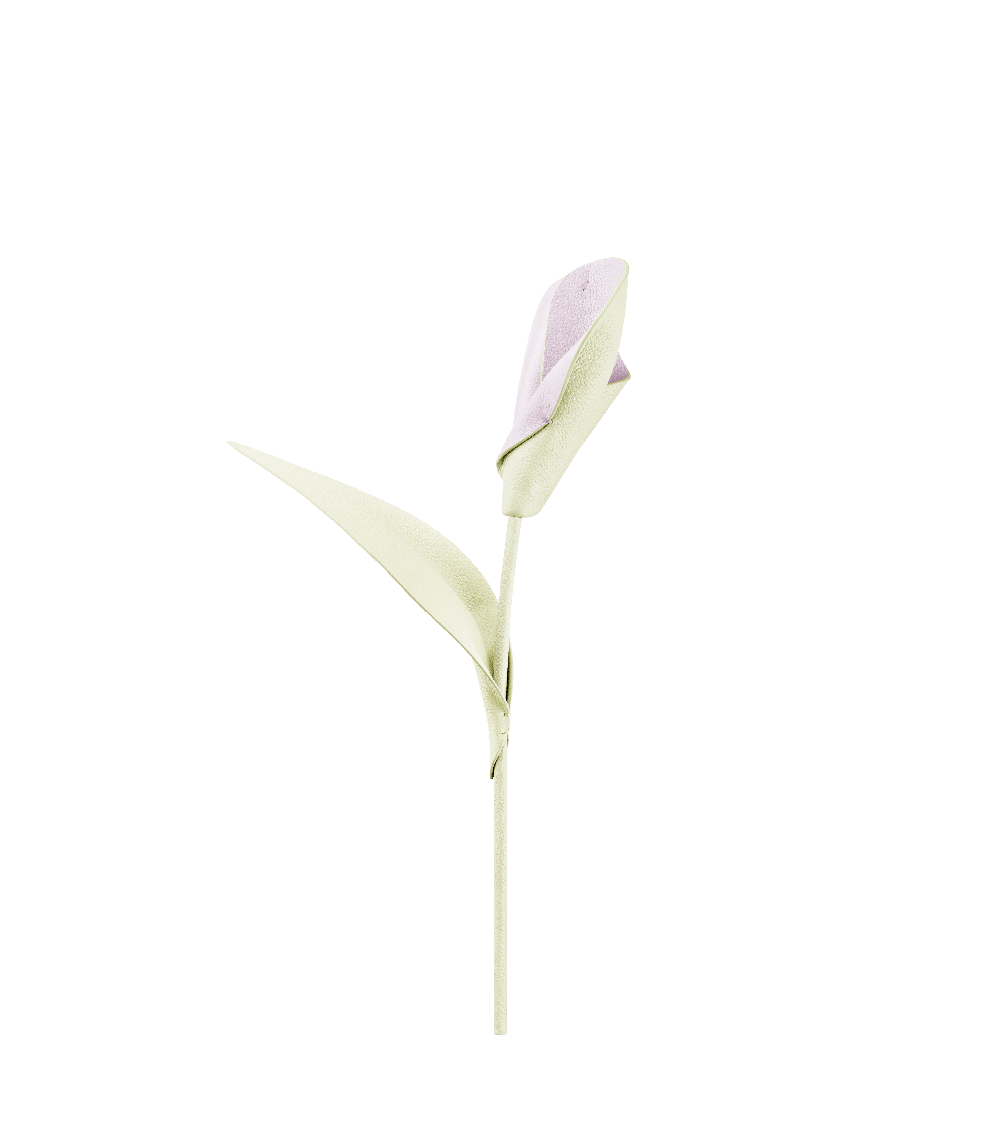 Fleur Pili - Aloe
